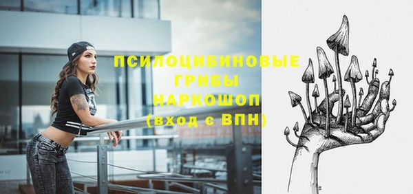 тгк Кодинск