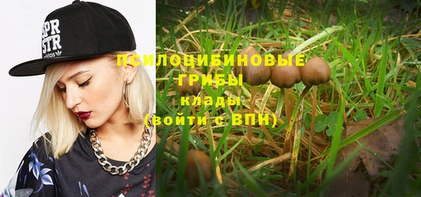 кристаллы Козловка