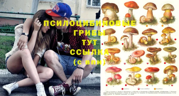 тгк Кодинск
